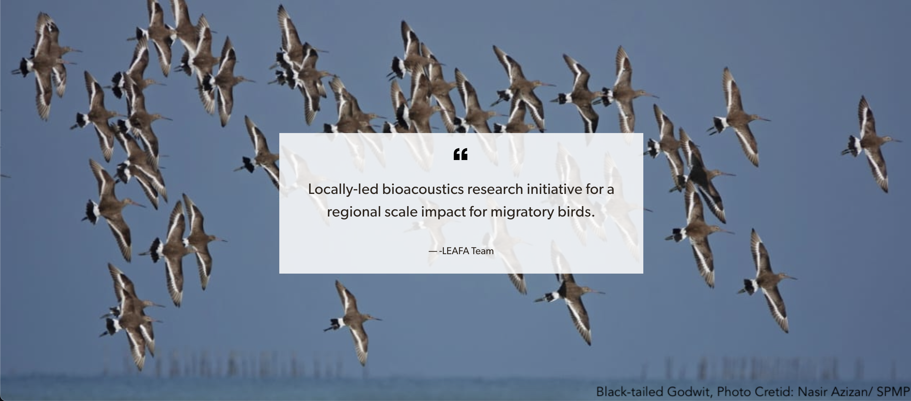 Locally-led East Asian Flyway Acoustics (LEAFA) Program